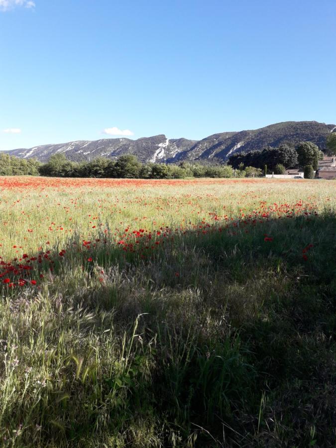 Gite Le Bagnol Un Coin De Paradis Maubec  Exteriör bild