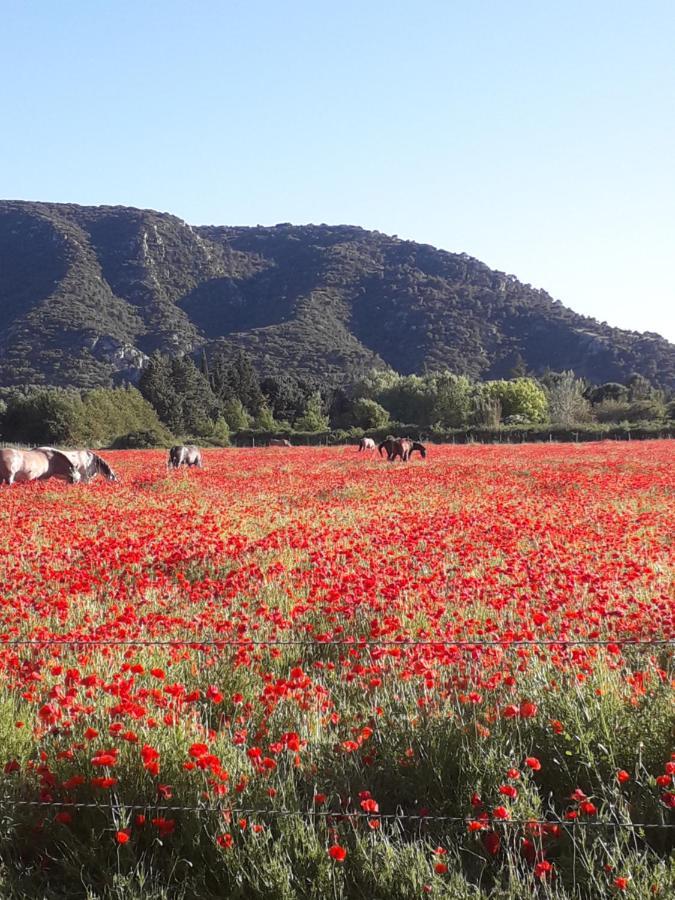 Gite Le Bagnol Un Coin De Paradis Maubec  Exteriör bild