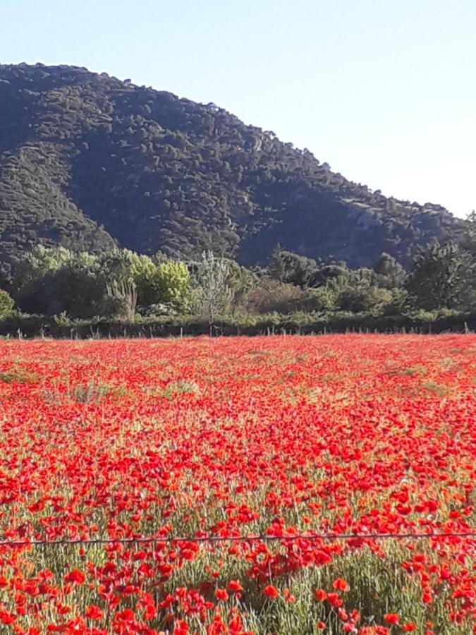 Gite Le Bagnol Un Coin De Paradis Maubec  Exteriör bild