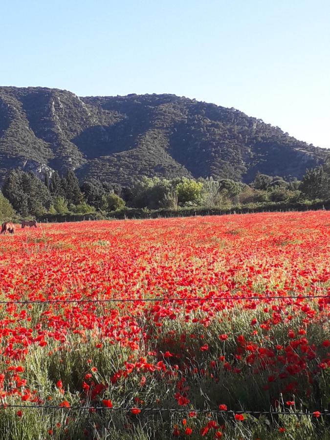Gite Le Bagnol Un Coin De Paradis Maubec  Exteriör bild